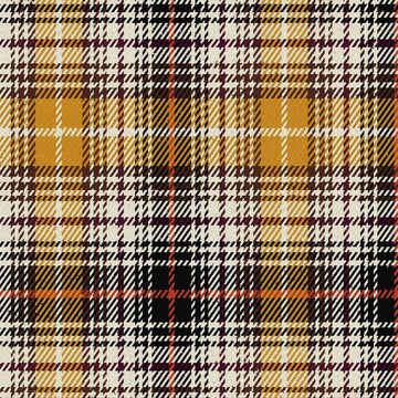 Clanedin Commemorative Ancient Tartan Kilt