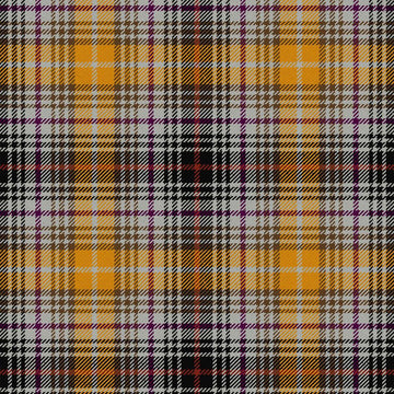 Clanedin Commemorative Tartan Kilt