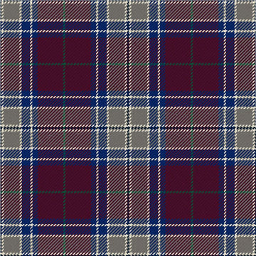 Royal Society For The Prevention Of Cruelty To Children Heather Modern Tartan Kilt