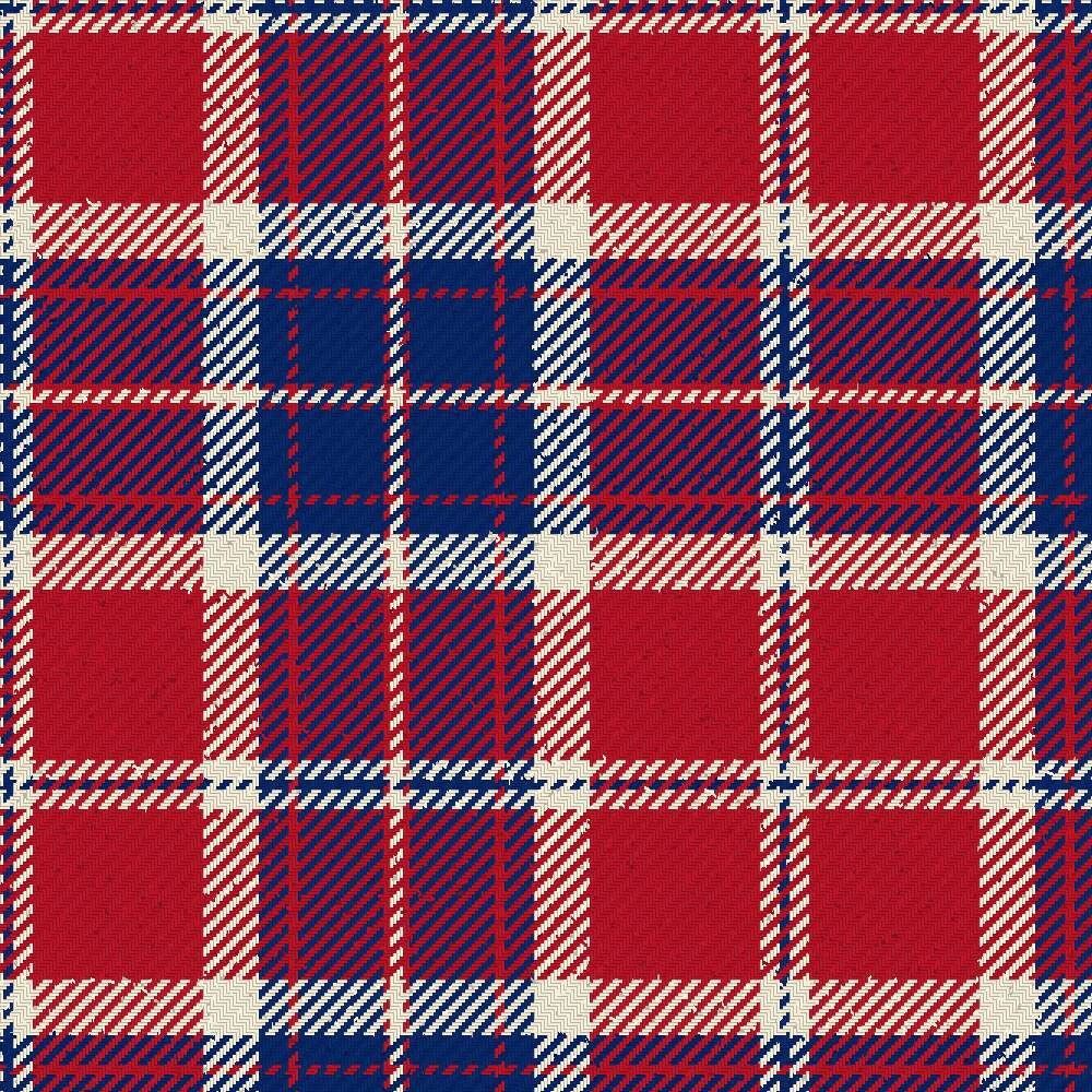 Snoozzzeee Tartan Kilt
