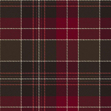 St David's Brithwe Dewi Sant Modern Tartan Kilt