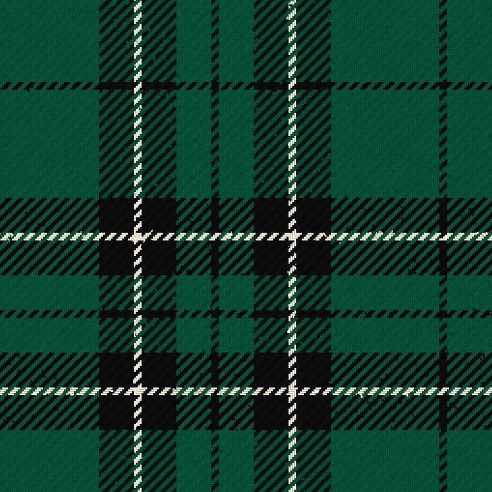 St Denis &amp; Cranley School Ancient Tartan Kilt