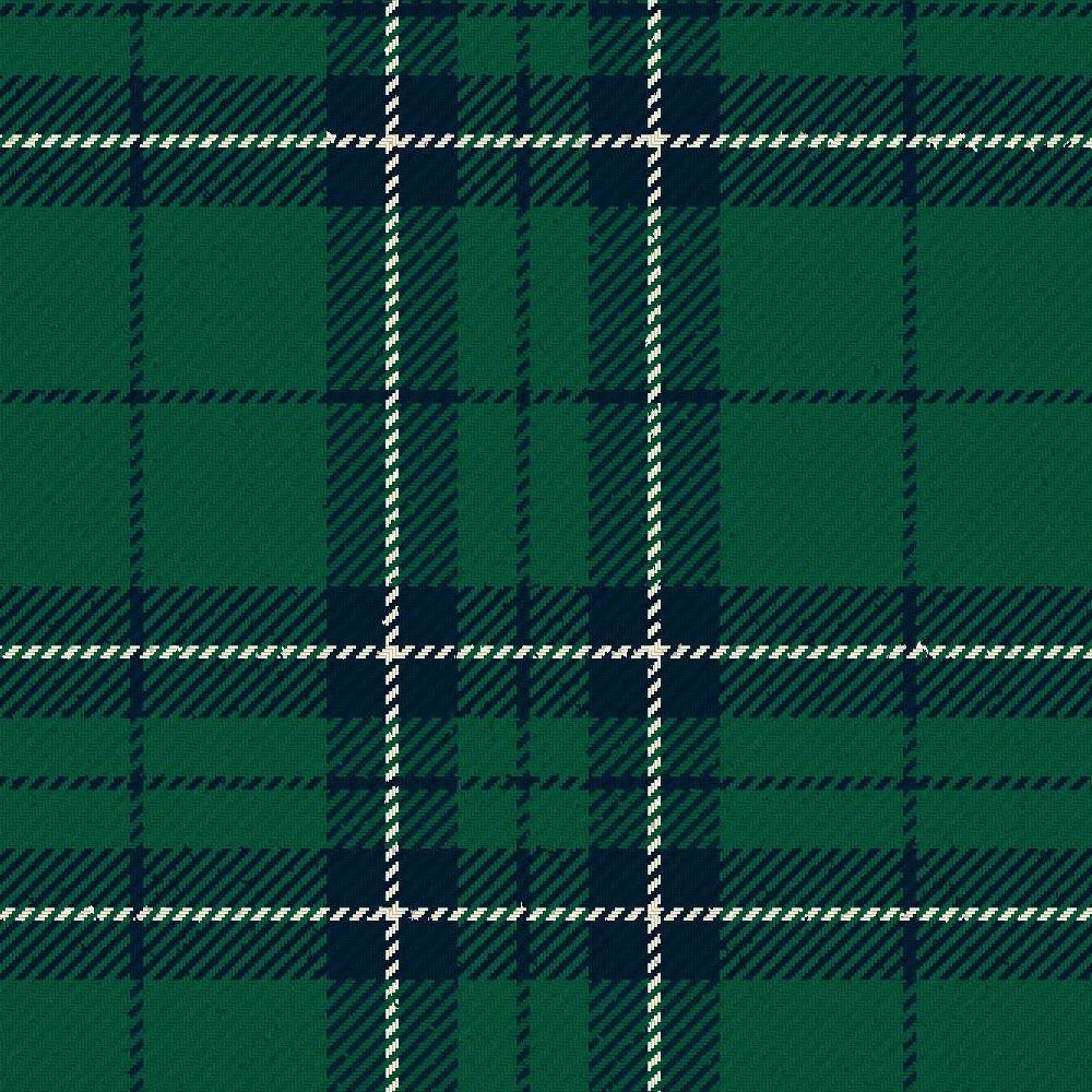 St Denis &amp; Cranley School Tartan Kilt