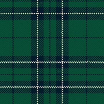 St Denis &amp; Cranley School Tartan Kilt