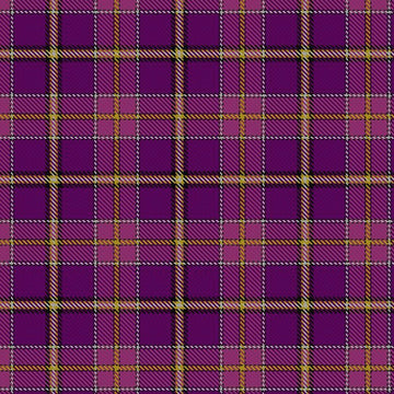 Svanholm Ancient Tartan Kilt