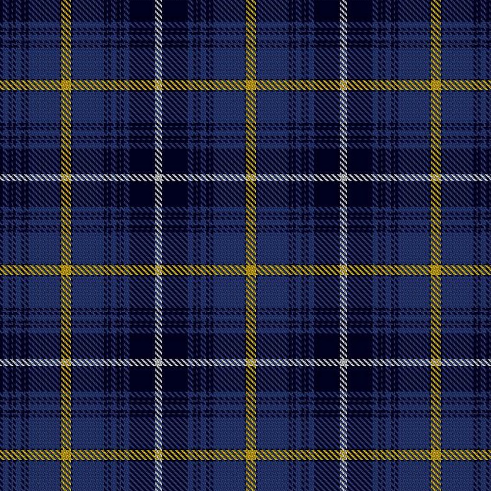 Swedish Tartan Kilt
