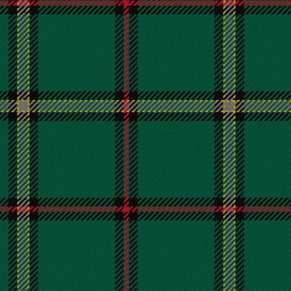Tough Modern Tartan Kilt