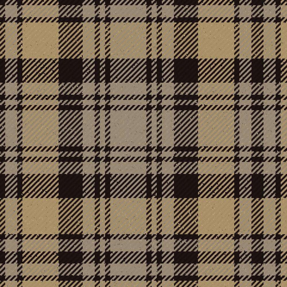 Tyndrum District Tartan Kilt More Kilt