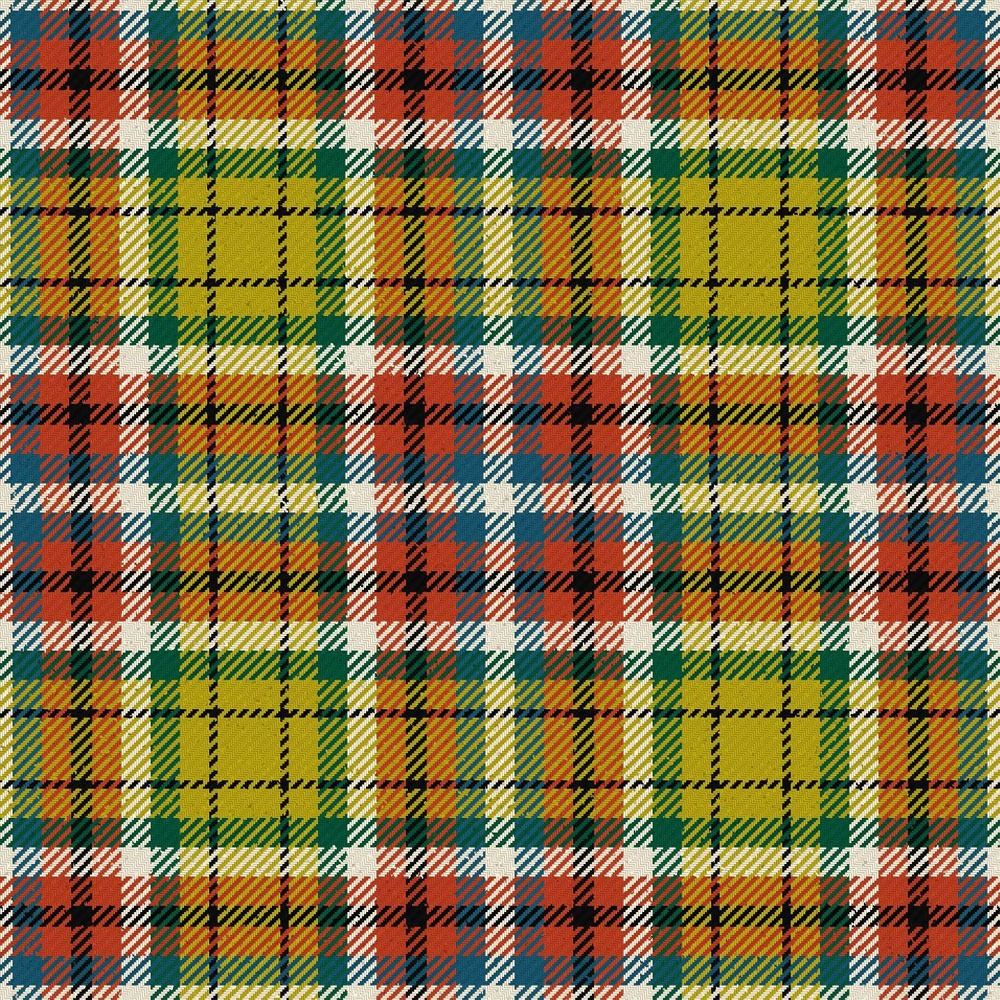 Williams Lake City Ancient Tartan Kilt