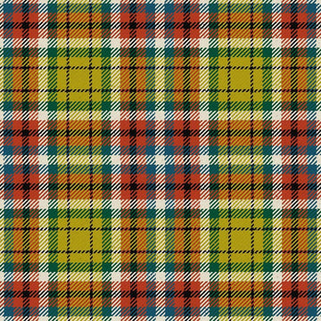 Williams Lake City Ancient Tartan Kilt
