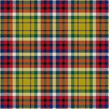 Williams Lake City Tartan Kilt