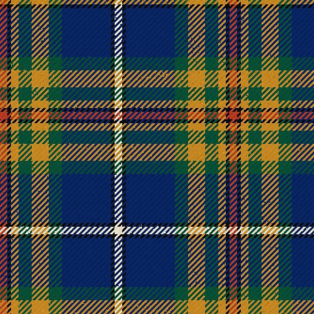 Women's Institute Federated Modern Tartan Kilt
