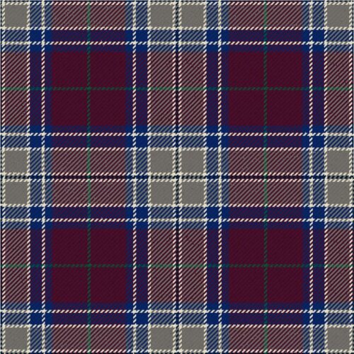 Royal Society For The Prevention Of Cruelty To Children Heather Modern Tartan Kilt
