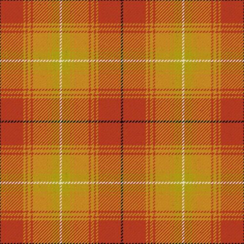 Shenzhen Tartan Kilt